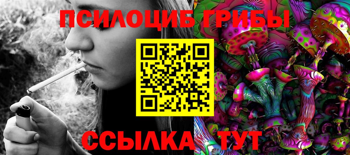 Галлюциногенные грибы MAGIC MUSHROOMS  Галлюциногенные грибы Psilocybine cubensis  Шебекино  Вход с VPN 